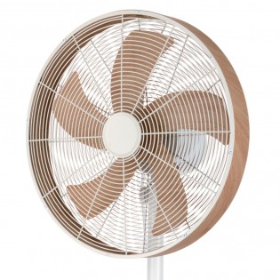 Pedestal Fan Alcañiz (50W)