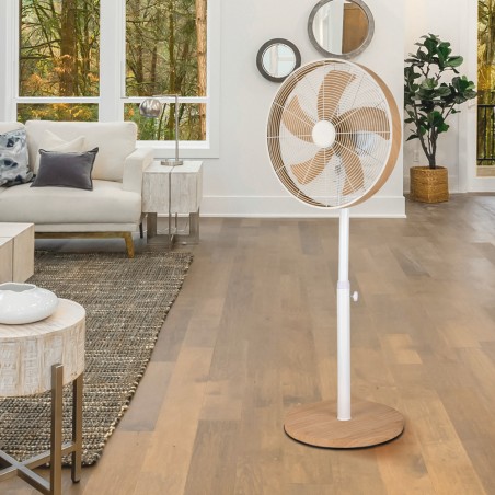 Pedestal Fan Alcañiz (50W)