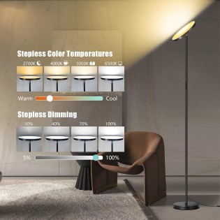 Lámpara de pie LED Niela CCT Dim (24W)