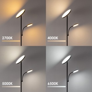 Lámpara de pie LED Niela CCT Dim (30+6W)