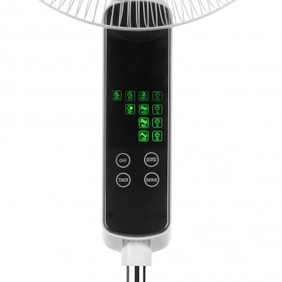 Ventilador de pie Rodium