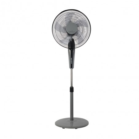 Pedestal Fan Borlon (40W)