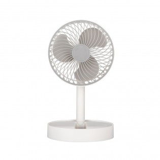 Fan with rechargeable...