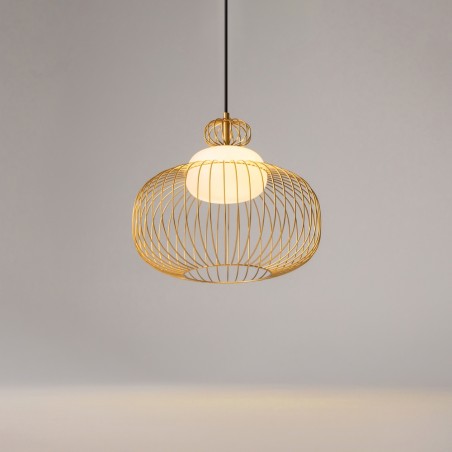 Pendant Lamp Levitation