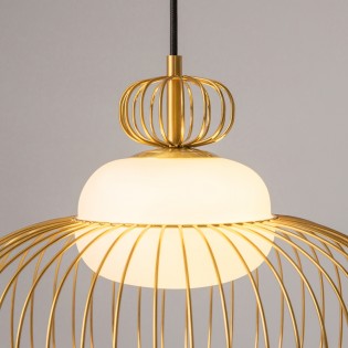 Pendant Lamp Levitation