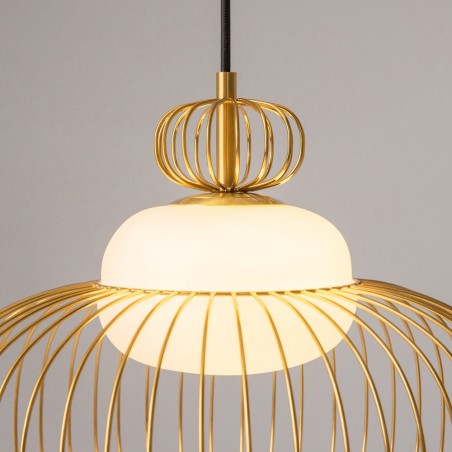 Pendant Lamp Levitation