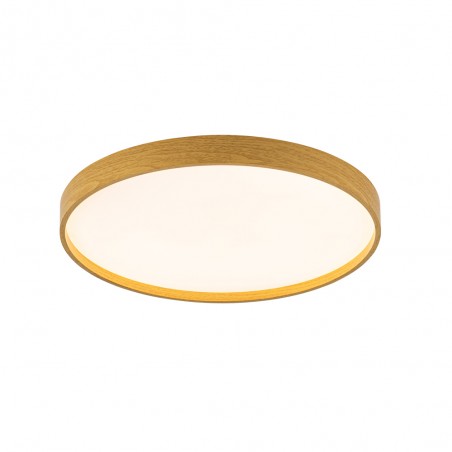 LED Ceiling Flush Light Panam 3CCT Dim (46W)