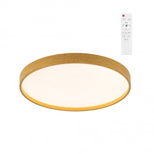LED Ceiling Flush Light...