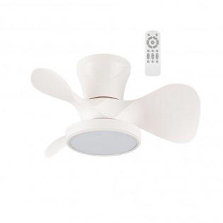MOLL BLANCO