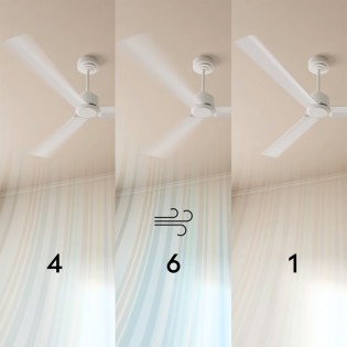 Ceiling fan Alma 100 Brass 3 blades