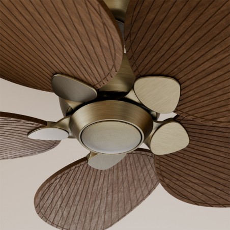 Ventilador de techo Alma 100 Latón 5 Aspas
