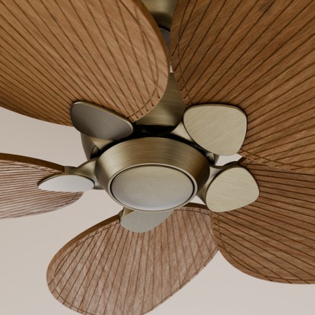 Ventilador de techo Alma 132 Latón 5 Aspas