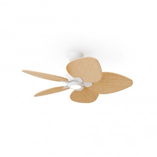 LED Ceiling Fan Alma 100...