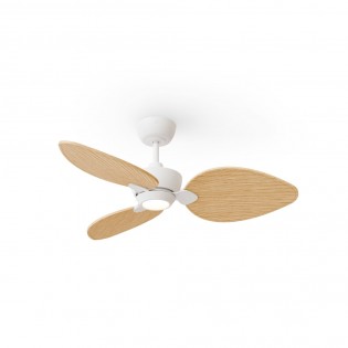 LED Ceiling Fan Alma 100...