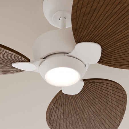 LED Ceiling Fan Alma 132 White 3 Blades CCT Dim (6.5W)