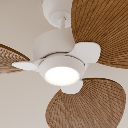 LED Ceiling Fan Alma 132 White 3 Blades CCT Dim (6.5W)
