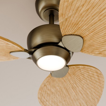 LED Ceiling Fan Alma 132 Brass 3 Blades CCT Dim (6.5W)