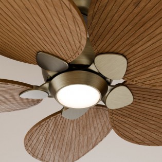 LED Ceiling Fan Alma 132 Brass 5 Blades CCT Dim (6.5W)
