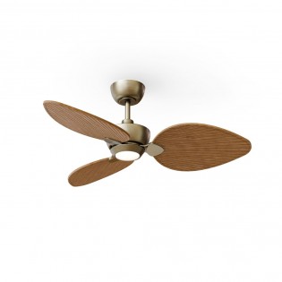 LED Ceiling Fan Alma 100...