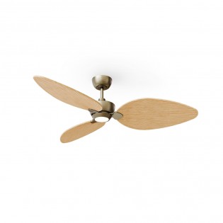 LED Ceiling Fan Alma 132 Brass 3 Blades CCT Dim (6.5W)