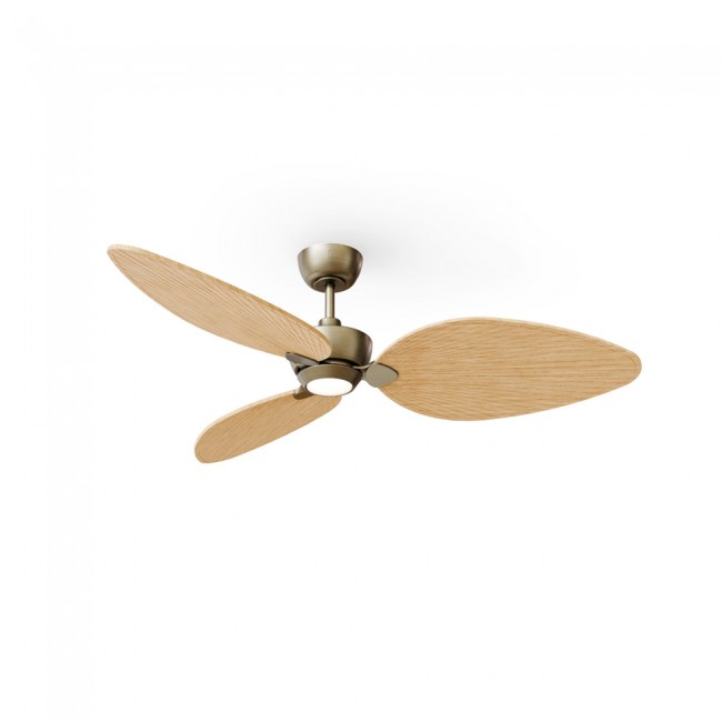 LED Ceiling Fan Alma 132 Brass 3 Blades CCT Dim (6.5W)