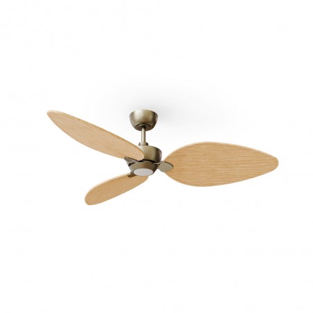 LED Ceiling Fan Alma 132 Brass 3 Blades CCT Dim (6.5W)