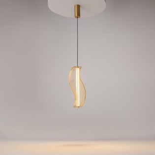 LED Pendant Lamp Shadows of the past (20W)
