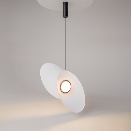 Lámpara colgante LED Evolution (9W)