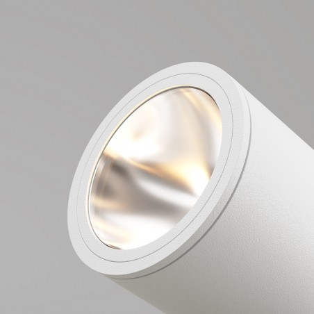 Outdoor picket spotlight LED Bern (30W)