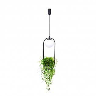 Pendant lamp Plant