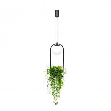 Pendant lamp Plant