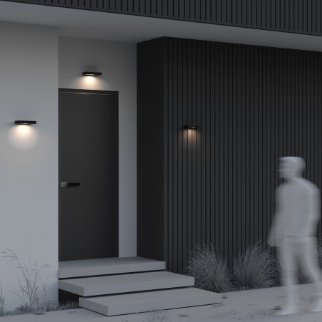 LED solar wall light with motion sensor Pir (2W)