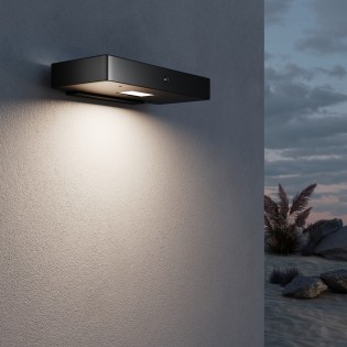 LED solar wall light with motion sensor Pir (2W)
