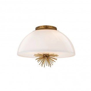 Ceiling lamp Staring
