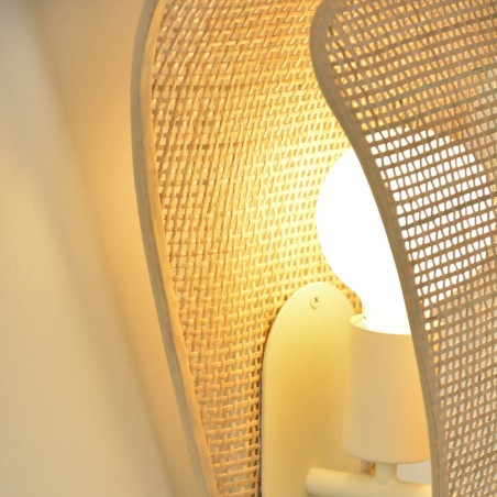 Wall Lamp Coquillage