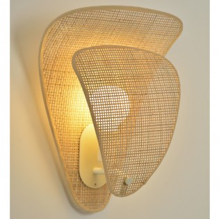 Wall Lamp Coquillage