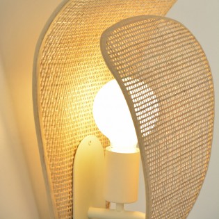 Wall Lamp Coquillage
