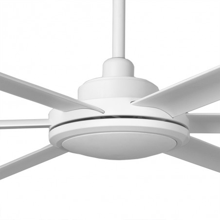 Ceiling Fan Rotterdam 20