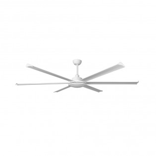 Ceiling Fan Rotterdam 20