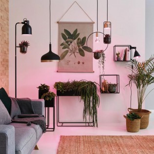 Pendant Lamp Fanja