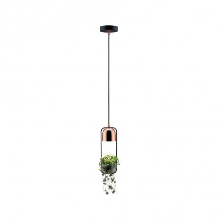 Pendant Lamp Fanja