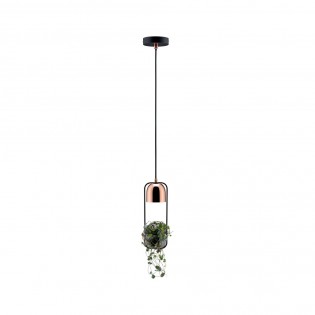 Pendant Lamp Fanja