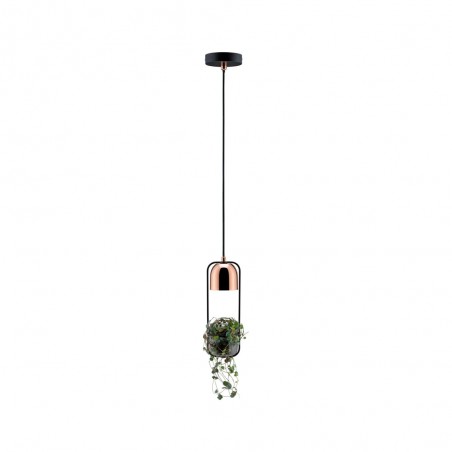 Pendant Lamp Fanja