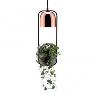 Pendant Lamp Fanja