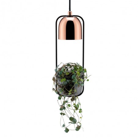 Pendant Lamp Fanja