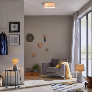 Ceiling Flush Light Liska