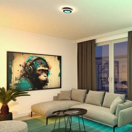 LED 3D Flush Light Spaceglow Two Dim (14W)