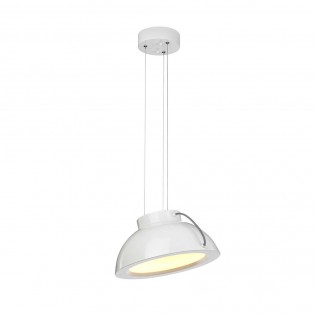 Lámpara de techo LED Europa (20W)