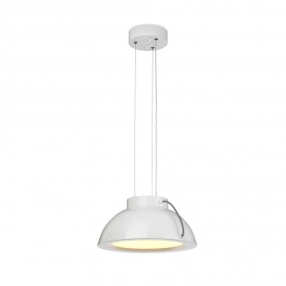 Lámpara de techo LED Europa (20W)