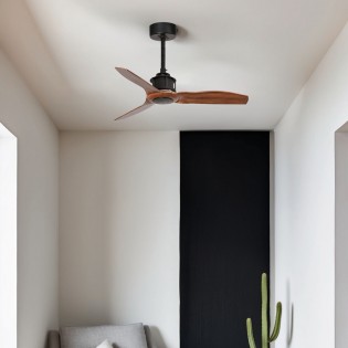 Mini Fan Just Fan